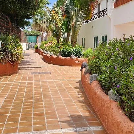 Parque Don Jose Casa Palmera Costa Del Silencio
