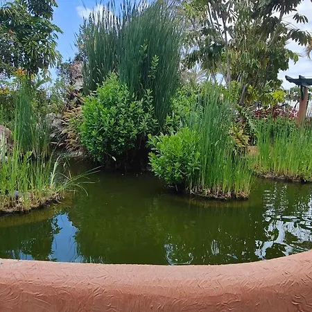 Parque Don Jose Casa Palmera קוסטה דל סילנסיו